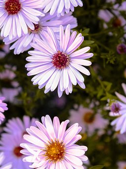 Ⱥl(f)ƽ_(ti)Xһl(du)ˎ׼Ҳ֪ˮ