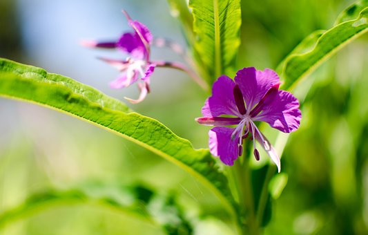 火鍋店開(kāi)業(yè)發(fā)短信引流