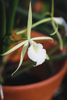 短信群發(fā)平臺(tái)給客戶帶來(lái)的好處