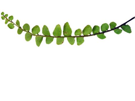 Ă(g)ƽ_(ti)l(f)ź