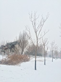 注意了,盲目短信營銷可能導致滅亡!