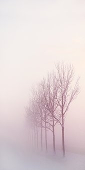Ź̖(ho)I(yng)NڼbИI(y)