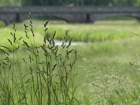 @xƽ_(ti) CϮ(dng)