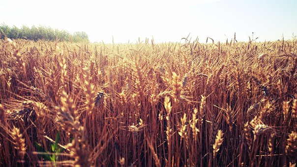 短信平臺在游戲行業(yè)的應(yīng)用