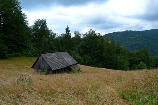 СȦĻĽ(jng)I֮(gu)Լ