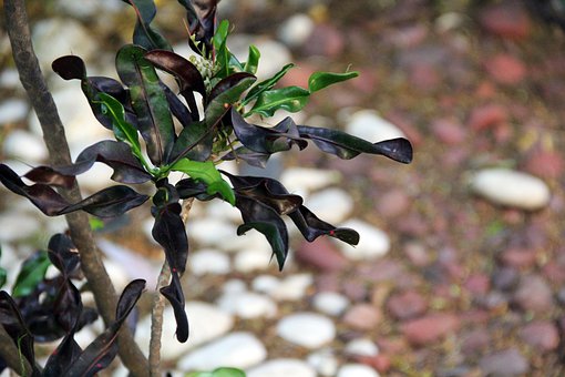 信譽(yù)好的短信平臺(tái),讓商家輕松”獲客”!